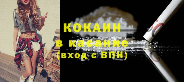 шишки Магас