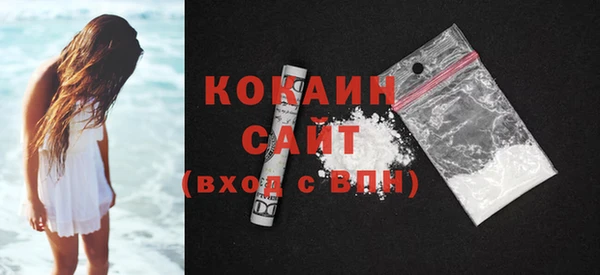шишки Магас