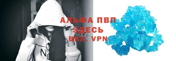 шишки Магас