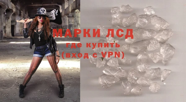 шишки Магас