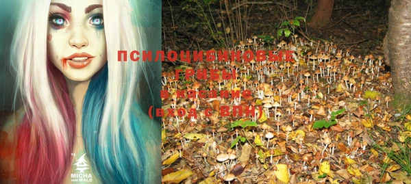 мдпв Липки