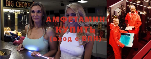 шишки Магас