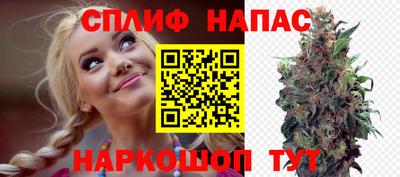 МДПВ Беслан