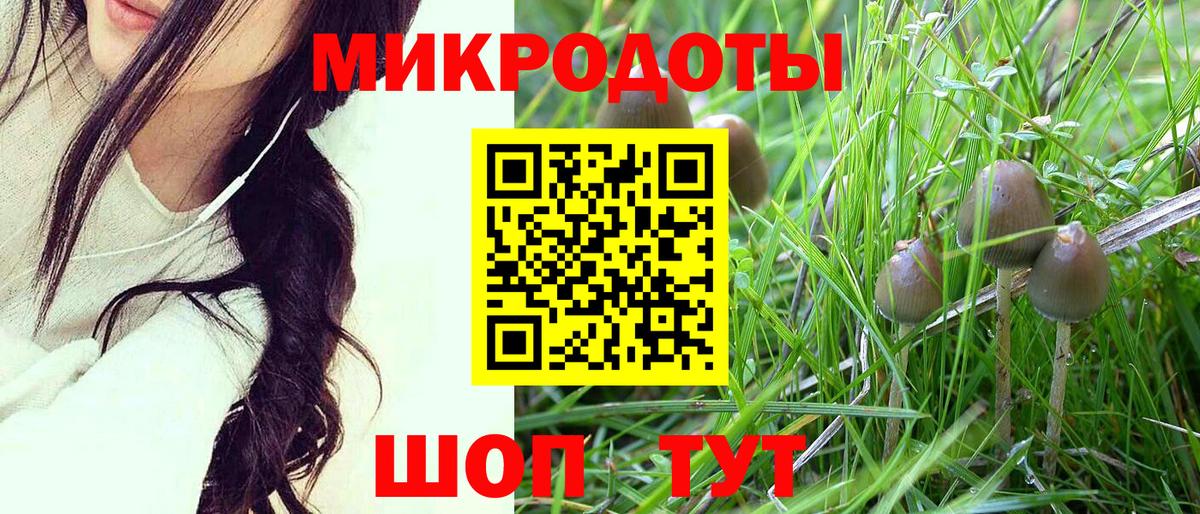 что такое   Вход с VPN  Нижнекамск  Псилоцибиновые грибы Magic Shrooms 