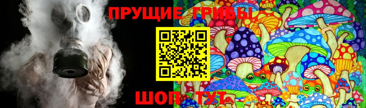 Псилоцибиновые грибы MAGIC MUSHROOMS  Нижнекамск 