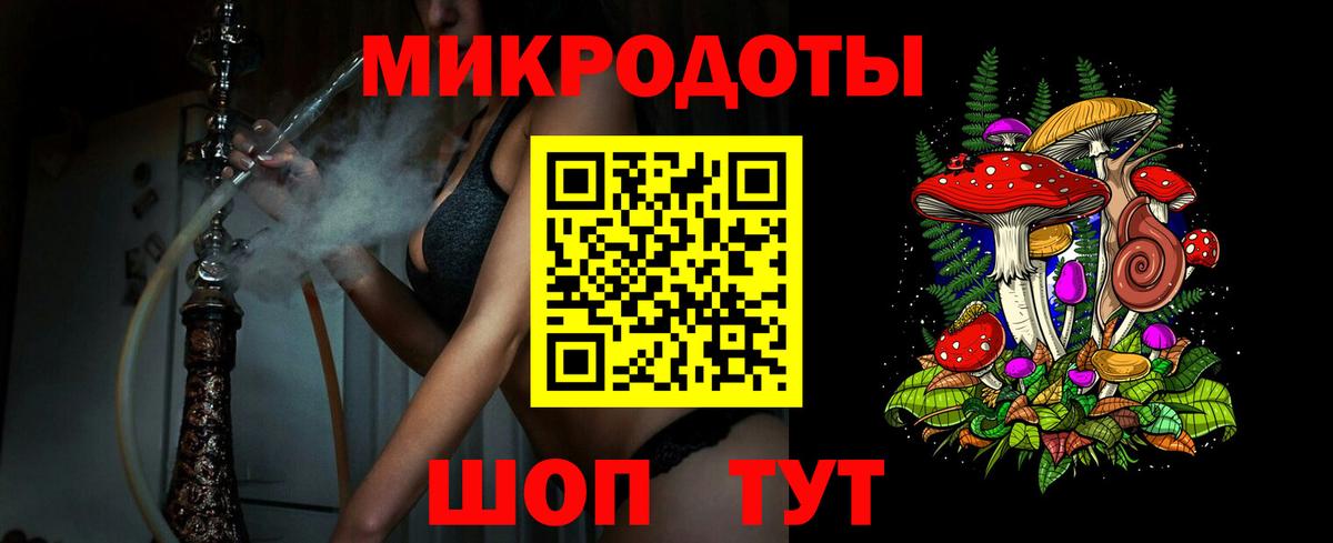 Галлюциногенные грибы Psilocybe Нижнекамск